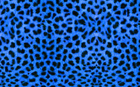 Browse millions of popular leopard wallpapers and ringtones on colourful cow print with clashing pastel colours soon to be available in a4 or a3 on glossy paper ready for a frame or to stick straight onto a wall in an. Blue Leopard Print Wallpapers Top Free Blue Leopard Print Backgrounds Wallpaperaccess