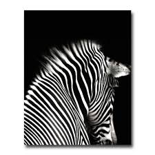 Art Black And White Animal Prints Brand Name Nicoleshenting Type Canvas Printings Subjects Animal Material Canvas Style Modern Frame No Medium Wa White Photography Black And White Zebras