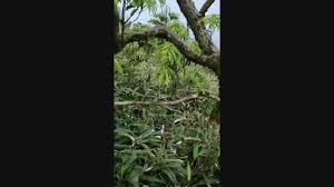 Search for text in self post contents. 0k66glwfv79jbm