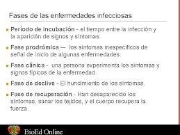 El empeoramiento del estado del paciente puede ser muy rápido (p. Enfermedades Infecciosas Por Christine Herrmann Ph D Bio