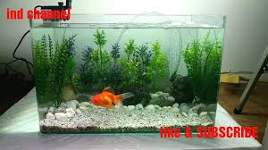 Pasalnya ikan mas koki ini sudah terkenal sekali sebagi ikan hias yang suka buang kotoran banyak. How To Make Simple Design For Small Aquarium Cara Simple Desain Aquarium Kecil Youtube