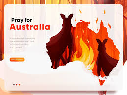 Hero Image Illustration For Australia Bushfire Season 2019 2020 Illustration Image Illustration Australia