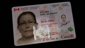 The template, photo and the bouncers and sale managers will not detect your fake card ever! Pin On Passport Photo