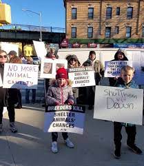Come and drop by today! Animal Lovers Protest Bensonhurst Pet Store Accused Of Selling Sick Dogs Brooklyn Paper