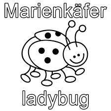 Ausmalbild Englisch Lernen Marienkafer Ladybug Kostenlos Ausdrucken