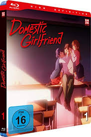 Natsuo fujii is in love with his teacher, hina. Domestic Girlfriend Vol 1 Blu Ray Amazon De Shota Ihata Dvd Blu Ray