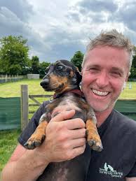 The Surrey Dog Training Company