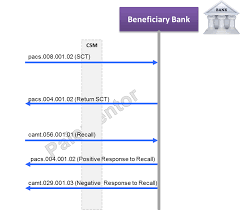 Swift also markets software… … Focus On Sct Beneficiary Bank Messages In The Interbank Space Paiementor
