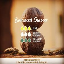 Balanced Success Diffuser Blend The Foundation Stones For A Balanced Success Are Honesty Diffuser Blends Essential Oil Diffuser Blends Oil Diffuser Blends