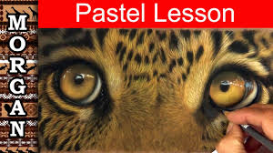 Pastel Pencil Drawing Techniques Wildlife Art Tutorial Jason Morgan Youtube Is creating art videos, tutorials, reference photos & more.