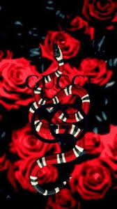 Supreme Gucci Wallpapers Supreme Iphone Wallpaper Homescreen Wallpaper Apple Watch Wallpaper