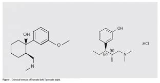 Ask The Expert Is Tapentadol A Glorified Tramadol