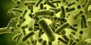 Nosokomiale Infektion