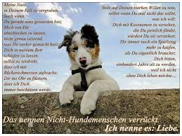 Pin Von Marion Schmidt Auf Der Hund Blieb Mir Im Sturme Treu Hund Zitat Hund Und Katze Zitate Tiere