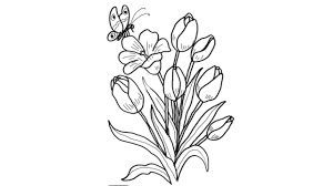 We did not find results for: How To Draw A Cute Flower Bunch Step By Step Drawing Youtube