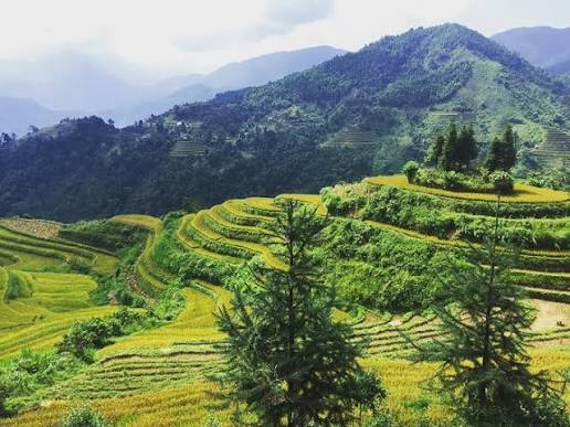 Si Ma Cai Lào Cai: Vẻ đẹp hoang sơ giữa chốn mây ngàn (Xã Si Ma Cai, tỉnh Lào Cai)