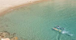 We did not find results for: Protocol For Arrivals In Greece The Passenger Locator Form Plf Naxos And The Small Cyclades