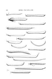 Image result for Microcharis angolensis