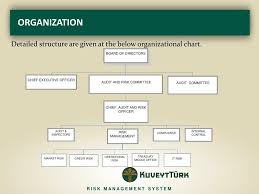 ppt risk management system powerpoint presentation free