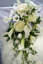 White roses calla lily shower bouquet created by lily white. Bridal Shower Teardrop Bouquet Of White Calla Lilies Avalanche Roses Lissianthus And Ivy Cascading Wedding Bouquets Wedding Ceremony Flowers Ceremony Flowers