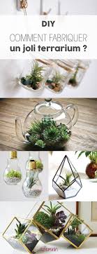 Terrarium Comment Faire Un Terrarium Comment Faire Un Terrarium Faire Un Terrarium Terrariums Diy