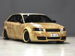 Image result for Arctic White 2006 A3