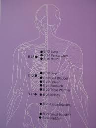 Pin On Acu Yoga Alternative Mind Body Soul Inspirations Improvements Etc