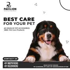 Unlock full sales materials and reports . Pet Pavilion Pvt Ltd Home Facebook
