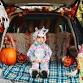 Conway Community Trunk-n-Treat event in Conway, WA