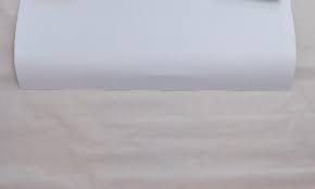 Eddie Vedder Fort Lauderdale 2012 poster Frank Kozik Kim Jong Il KISS Pearl  Jam