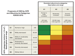 Sclerosis and calcification of the heart valves and the valve ring are particularly relevant in the etiology of the diseases. Kodierhilfe 2018 Chronische Niereninsuffizienz N18 Icd Ops Kodierung Medconweb Fachportal Fur Medizincontrolling