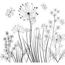 Wild Flowers Field Background Black White Sketch Free Vector In Adobe Liked On Polyvore Featuring Filler Sketch Free Flower Doodles Japanese Embroidery
