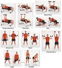 Hex Dumbbells For Weight Training On A Budget Iron Company Dumbbell Workout Bicep And Tricep Workout Arm Workout Men