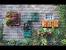 Interior Brick Wall Decor