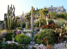 epingle sur jardin exotique