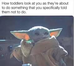 Morning Funny Meme Dump 35 Pics Yoda Funny Yoda Meme Star Wars Memes
