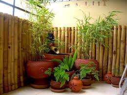 Maybe you would like to learn more about one of these? Balcony Makeover In Cbs Amaltas Bungalows Small Apartment Balcony Decoration Ideas On A Budget Makeover Decor Designer Revamp Balconies Gardening Garden Terrace Furniture Landscaping Wooden Flooring In Greater Noida Extension Indrapuram