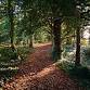 Liminal Space Retreat (retreat full) event in Wallingford