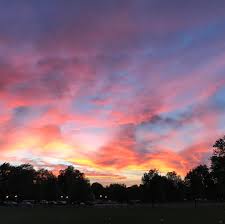 Maybe you would like to learn more about one of these? City Park Summer Sunset Denver Colorado Krystalvation