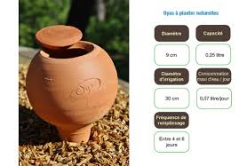 Oyas Un Systeme D Arrosage Herite De Nos Ancetres Systeme D Arrosage Arrosage Irrigation