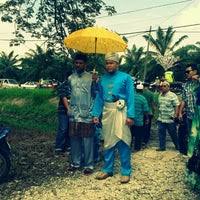 Hutan melintang poskod postal code or zip code. Hutan Melintang