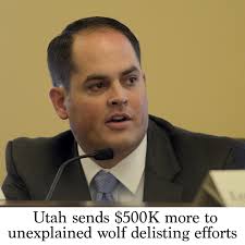 Utah sends $500K more to unexplained wolf delisting efforts