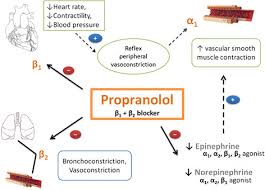 proposed mechanism by which propranolol induces peripheral