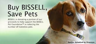 We did not find results for: Buy Bissell Save Pets Bissell Is Donating A Portion Of Our Proceeds To Help Support The Bissell Pet Foundation In Reducing T Pets Bissell Pet Homeless Pets