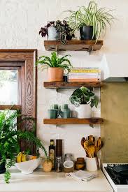 Cactus and succulents are as thoughtful a gift as flowers, and last much longer. Best Plants For The Kitchen Bloomscape Your Space Bloomscape Indoor Cactus Plants House Plants Indoor Plants