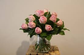 Im gegensatz zu einem firmenprofil, welches. Oranje Blumen Webshop Fur Frische Blumen