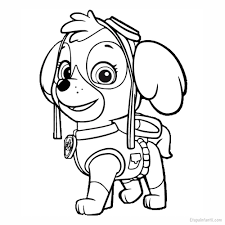 Patrulla Canina Para Colorear Sky