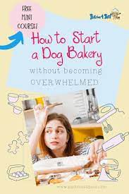 Pin By Aveline Dog Lover On Podcast For Pet Industry Women Dog Business Healthy Dog Treats Homemade Diy Dog Treats