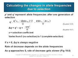How to calculate allele frequency to find the number of alleles in a given population, you must look at all the phenotypes present. Genetics From Genes To Genomes Ppt Download