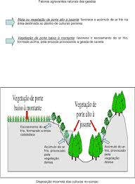 A geada ocorre quando o orvalho noturno congela devido às baixas temperaturas. Geada Tipos De Geada Quanto A Sua Formacao Geada De Adveccao Ou De Vento Frio Pdf Download Gratis